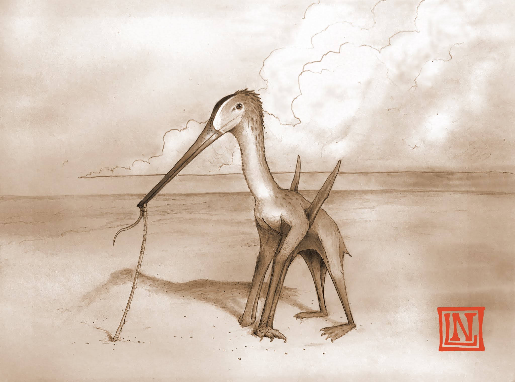 Species New to Science: [Paleontology • 2021] Leptostomia begaaensis • A  Long-billed, Possible Probe-feeding Pterosaur (Pterodactyloidea:  ?Azhdarchoidea) from the mid-Cretaceous of Morocco, North Africa
